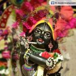 सांवरे का चित्र