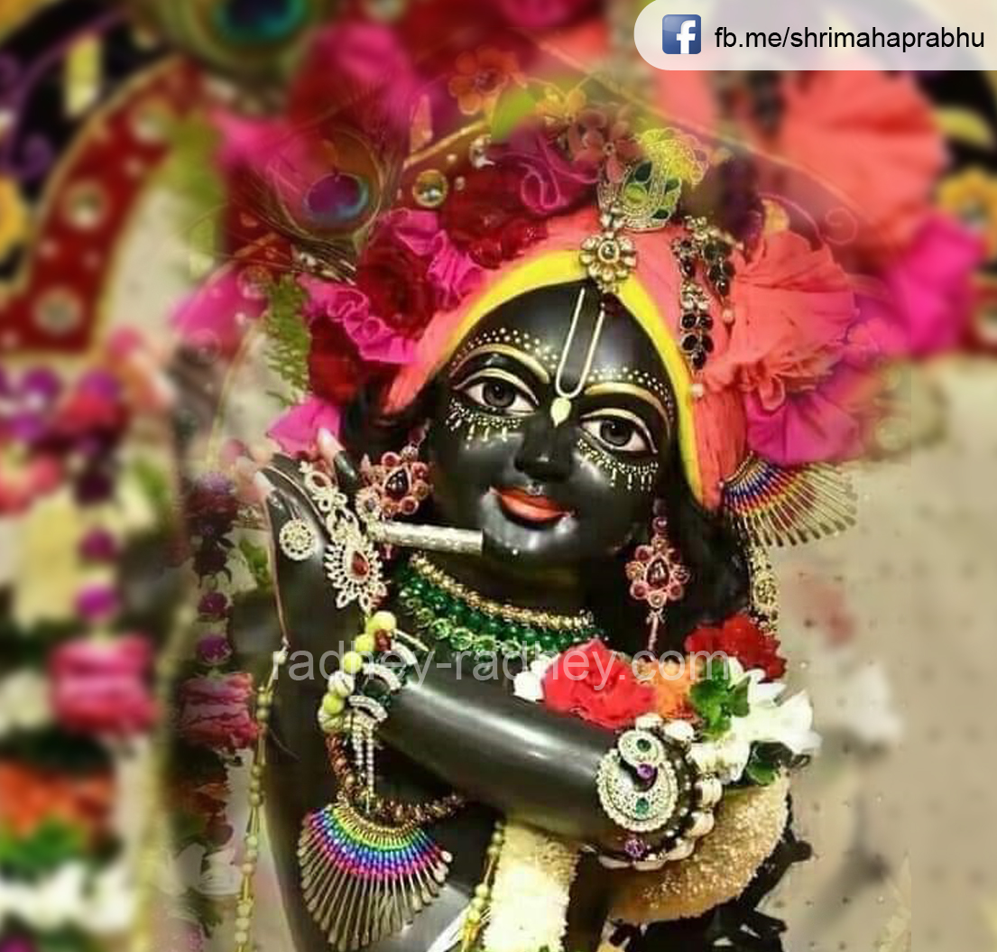 सांवरे का चित्र