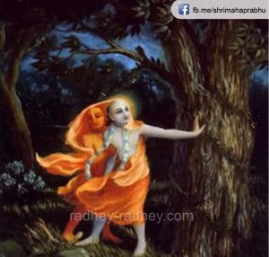 krishna sudama friendship  कृष्णा को एक अभिशाप से बचने के लिए सुदामा ने खुद एक दरिद्र का जीवन चुन लिया। 171 300x286